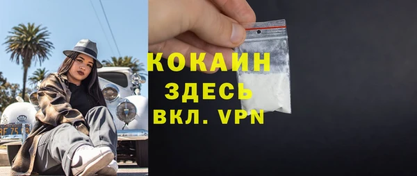 стафф Аркадак