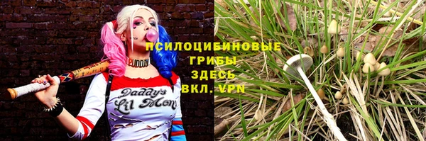 ALPHA-PVP Арсеньев