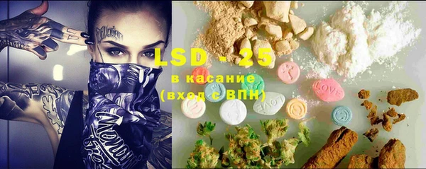 стафф Аркадак