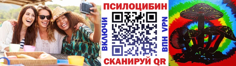 нарко площадка как зайти  купить наркотики цена  Мытищи  Псилоцибиновые грибы GOLDEN TEACHER 
